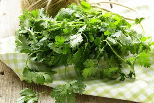  Coriander benefits the liver 